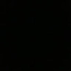 Meet your Posher, Shantara